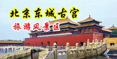 大鸡巴操逼网站试看中国北京-东城古宫旅游风景区